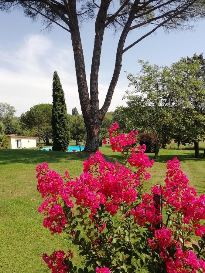 Domaine De Poudos Bed & Breakfast Auterive  Dış mekan fotoğraf